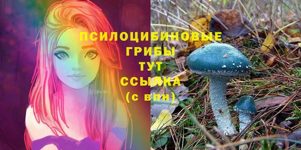 apvp Бугульма