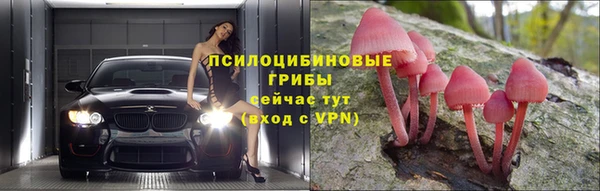 сатива Бронницы