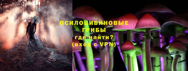 apvp Бугульма