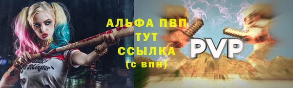 сатива Бронницы