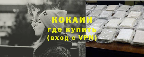 сатива Бронницы