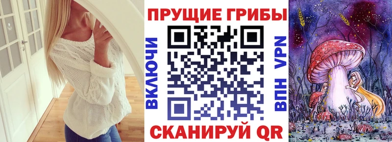 Галлюциногенные грибы Psilocybine cubensis  купить наркотик  Нюрба 
