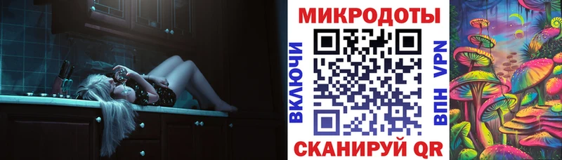 Галлюциногенные грибы Psilocybe Нюрба
